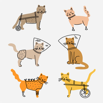 Vector collection of disabled cats with prosthetics, hand-drawn in the style of doodles.
