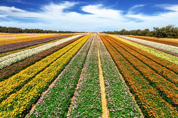 Kibbutz Nir Yitzchak