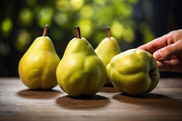 Capture of pear fruits isolated on hand against blurred background. Pear fruit. Fresh Pear fruit isolated on hand. Pears on hand. Tasty fruit of Asian pear. Asian pears. With Selective Focus. - obrazy, fototapety, plakaty