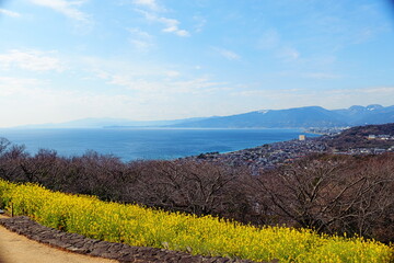 吾妻山公園から見る海