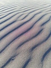 sand dunes in the morning