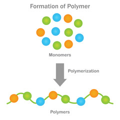 Monomers polymerize, forming long chains with unique properties for diverse applications.