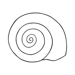 Linear sketch, outline of a sea shell. Vector graphics.