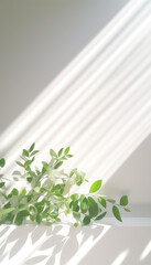 Blurred shadow of plant leaves on the white wall background