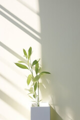 Blurred shadow of plant leaves on the white wall background