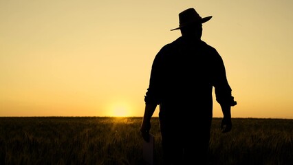 Silhouette Farmer walking with tablet in wheat field at sunset. Farmer works with digital tablet...