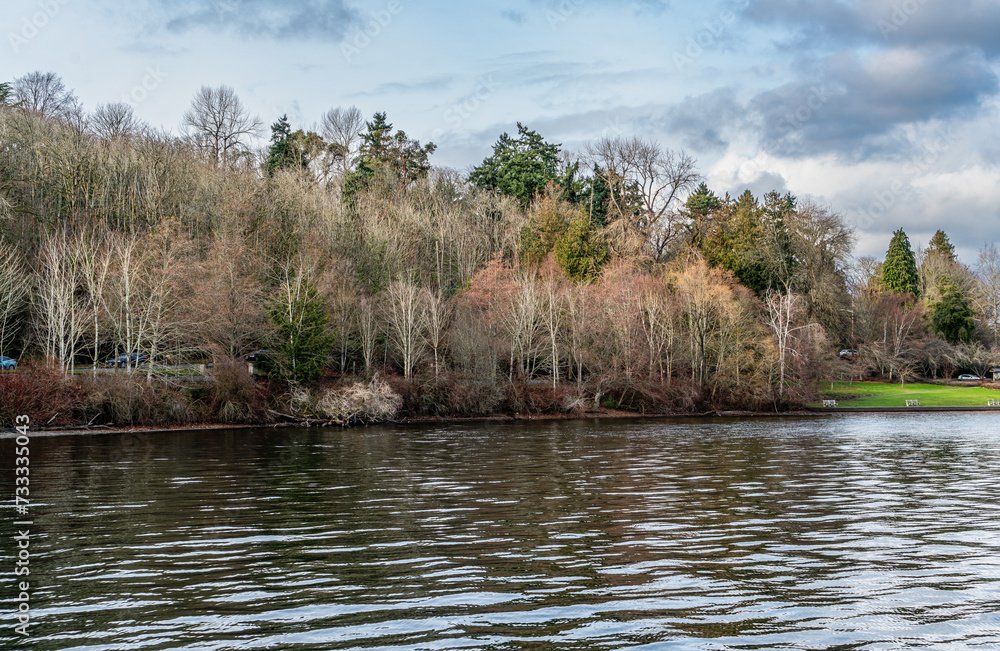 Wall mural lake winter trees 2