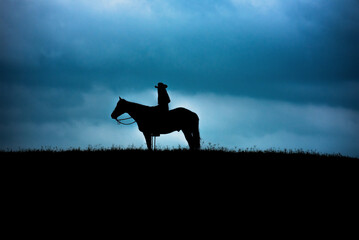 Equine Silhouette - obrazy, fototapety, plakaty