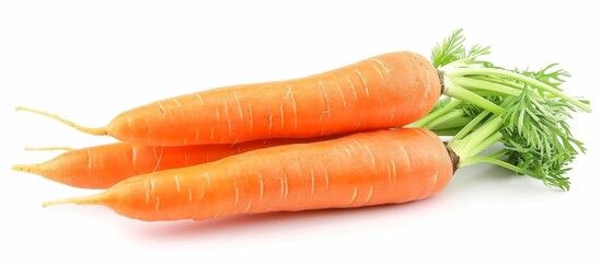 White background with isolated fresh and sweet carrot