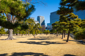 Kokyo Gaien National Garden in Tokyo, Japan