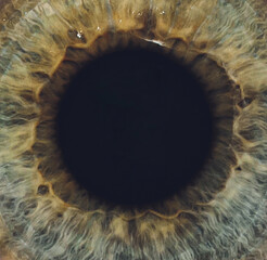 Macro of the eye of a man. Shallow depth of field.