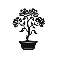 Azalea plant flower in a pot  vector illustration isolated transparent background, cut out or cutout t-shirt design