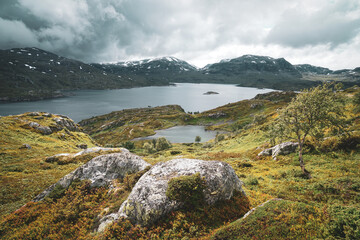 landscape with lake