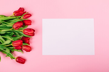 White clean paper sheet on pink background with a bouquet of red tulips. Copy space. A4 format....