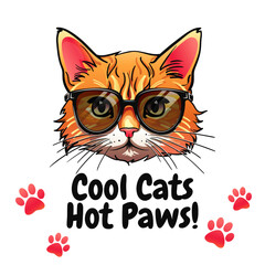 A hipster red cat with sunglasses, exuding cool vibes in a cute vector illustration. Paw prints. Perfect for shirts and posters, adding humor and charm. Not AI.