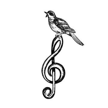 Musical treble clef with a singing nightingale, graphic vector black and white illustration. For logos, badges, stickers and prints. For postcards, business cards, flyers.