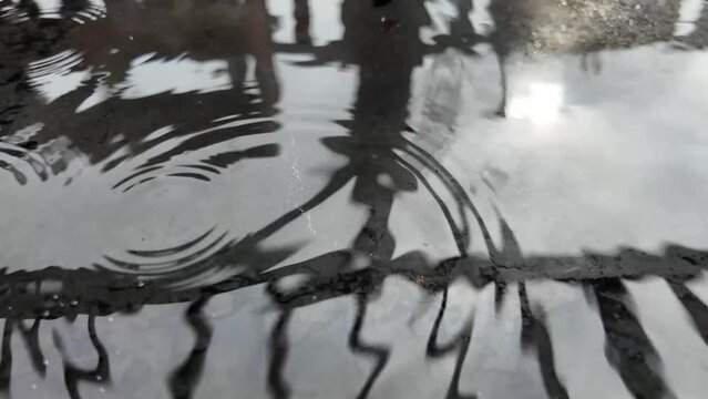 Petite pluie et gouttes