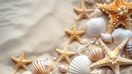 Fototapeta na wymiar Sand beach banner with seashell starfish sealife wallpaper background 