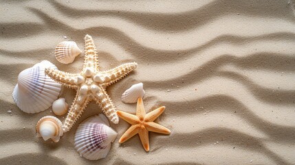 Fototapeta na wymiar Sand beach banner with seashell starfish sealife wallpaper background 