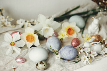 Stylish easter eggs, bunnies, cherry blossom and daffodils composition on rustic table. Happy Easter! Modern natural dyed eggs and spring flowers. Rural still life