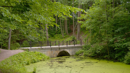 Fototapeta na wymiar A bridge over an old pond overgrown with duckweed.