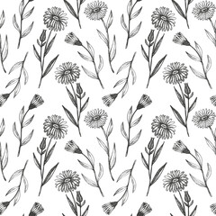 Calendula plant seamless pattern repeating background hand drawn medicinal daisy flower leaves Vector herbal engraved backdrop Botanical sketch for tea, organic cosmetic, medicine aromatherapy textile - obrazy, fototapety, plakaty