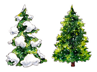 Clipart of two isolated evergreen fir trees using sketch technique