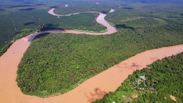 la rivi&egrave;re Kinabatangan, sur l'ile de Borneo en Malaisie. Sanctuaire &eacute;cologique serpentant au milieu de la jungle primaire menac&eacute;e par la production d'huile de palme.