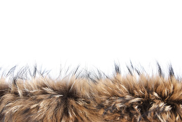 Fragment of luxury animal fur on white background