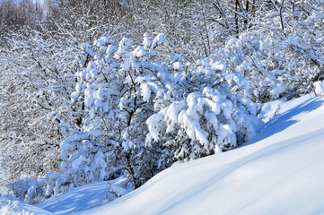 Nature is the material world of the universe, in fact, the main object of the study of natural sciences. In everyday life, the word "nature" is often used in the meaning of natural habitat.