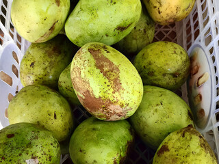 Fresh green mango fruit in healthy fruit concept.  collection of mangoes in a basket.
