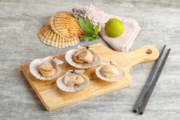 Raw natural scallop in its shell