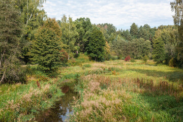 The edge of the forest and a narrow stream winding through the meadow.