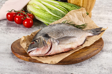 Raw dorada fish served rosemary
