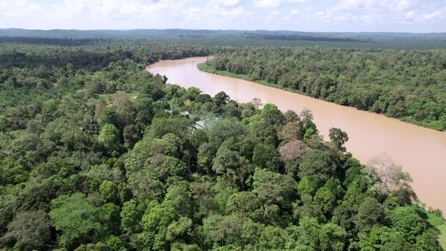 la rivi&egrave;re Kinabatangan, sur l'ile de Borneo en Malaisie. Sanctuaire &eacute;cologique serpentant au milieu de la jungle primaire menac&eacute;e par la production d'huile de palme.