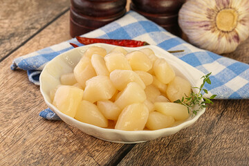 Raw scallop seafood in the bowl