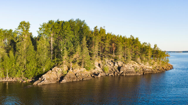 A tranquil scene of a pine forest thriving on a rocky outcrop surrounded by the calm waters of a lake, illuminated by the warm golden hour light.