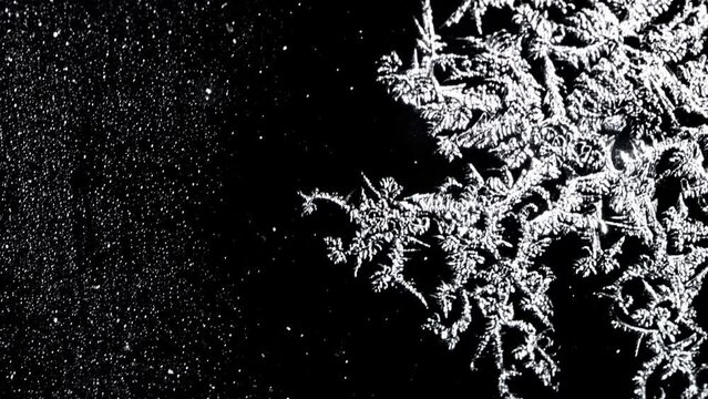 Timelapse of Frostwork Growing on a Winter Window (Black Background)