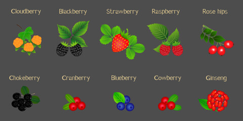 Set of berries with names on a black background.