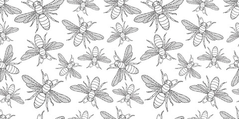 Seamless vector pattern of contour drawings decorative flies flock, black and white background for paper,textile, wallpaper
