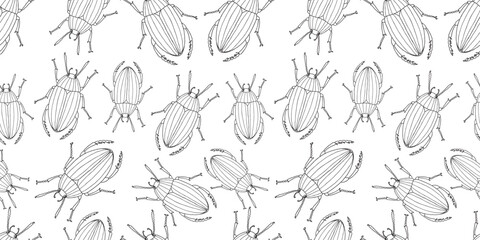 Seamless vector pattern of contour drawings abstract wild beetles black and white outlines isolated on white - 733393227