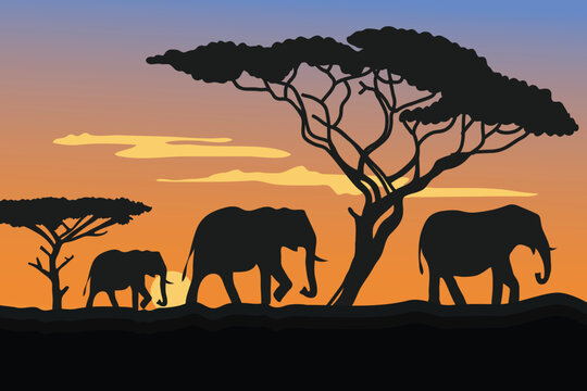 Illustration of elephants and trees silhouette in the savannah during the evening