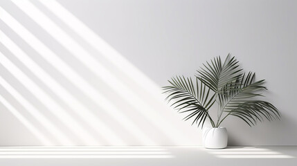 Background with blurred foliage shadow on white wall