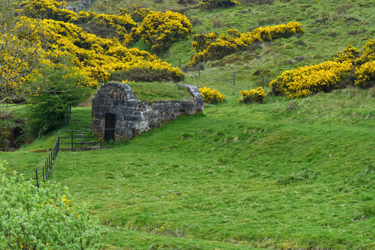 altes Steinhaus im Clyde muirshiel regional park, bei Greenock, Inverclyde, Schottland