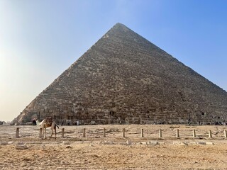 Fototapeta na wymiar Pyramiden von Giseh
