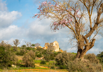 Fototapeta premium Historical farm house ruins in the quaint inland landscapes of the Algarve region of Portugal
