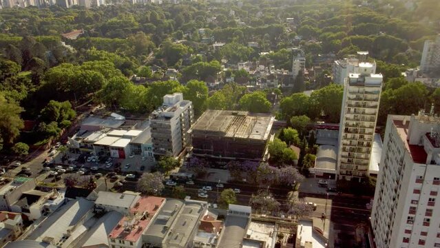 Residential buildings, houses architecture, cars traffic on street, trees, urban park, aerial view on sunny summer day in Buenos Aires.