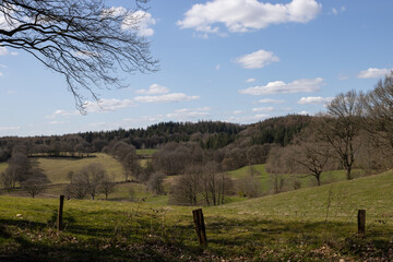 Weide, Hügel, Wald, Schoothosrter Tal, Hüttener Berge