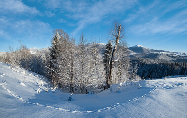 Winter Gorgany massiv mountains scenery view from Yablunytsia pass, Carpathians, Ukraine.