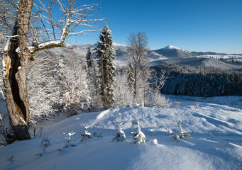 Winter Gorgany massiv mountains scenery view from Yablunytsia pass, Carpathians, Ukraine.
